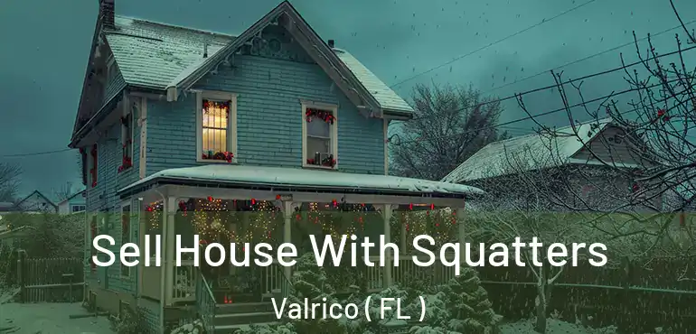  Sell House With Squatters Valrico ( FL )