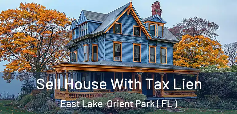  Sell House With Tax Lien East Lake-Orient Park ( FL )