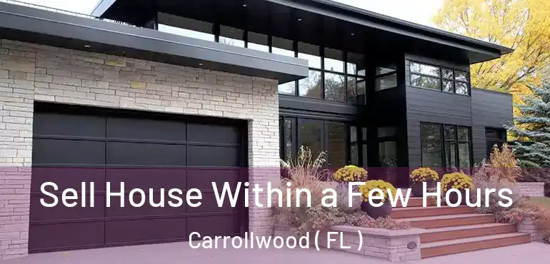  Sell House Within a Few Hours Carrollwood ( FL )