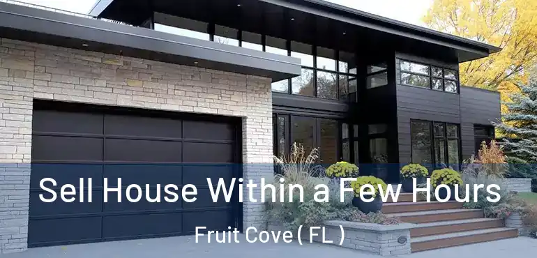  Sell House Within a Few Hours Fruit Cove ( FL )