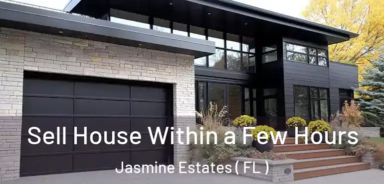  Sell House Within a Few Hours Jasmine Estates ( FL )