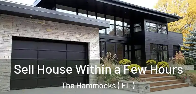  Sell House Within a Few Hours The Hammocks ( FL )