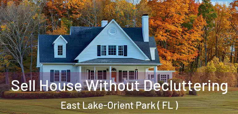  Sell House Without Decluttering East Lake-Orient Park ( FL )