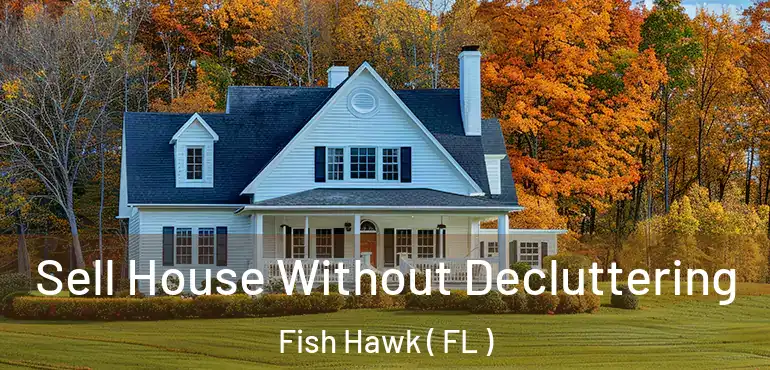  Sell House Without Decluttering Fish Hawk ( FL )