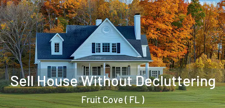  Sell House Without Decluttering Fruit Cove ( FL )