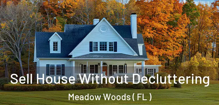  Sell House Without Decluttering Meadow Woods ( FL )