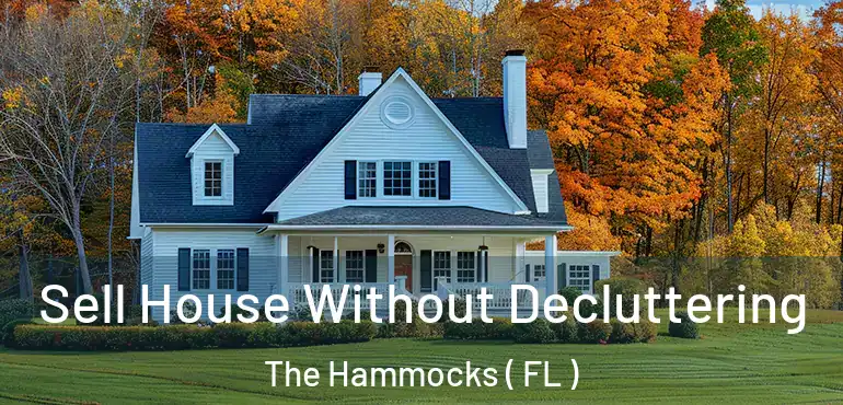  Sell House Without Decluttering The Hammocks ( FL )