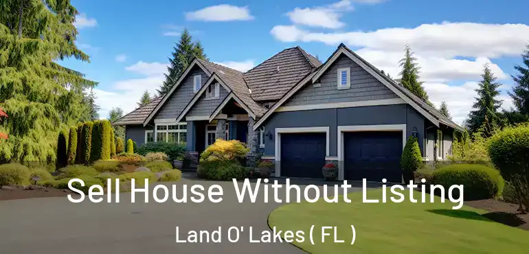 Sell House Without Listing Land O' Lakes ( FL )