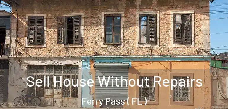  Sell House Without Repairs Ferry Pass ( FL )