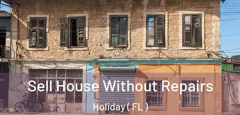  Sell House Without Repairs Holiday ( FL )