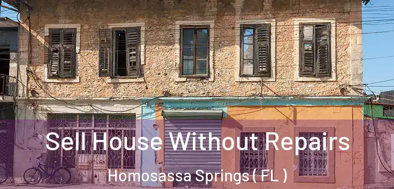  Sell House Without Repairs Homosassa Springs ( FL )