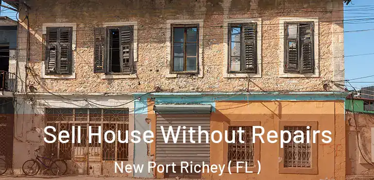  Sell House Without Repairs New Port Richey ( FL )