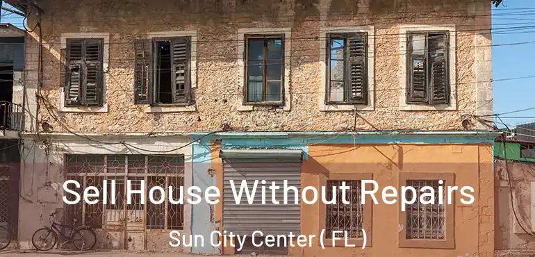  Sell House Without Repairs Sun City Center ( FL )