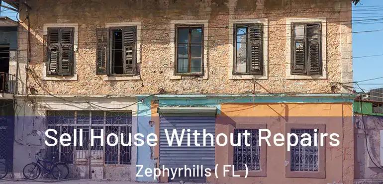  Sell House Without Repairs Zephyrhills ( FL )
