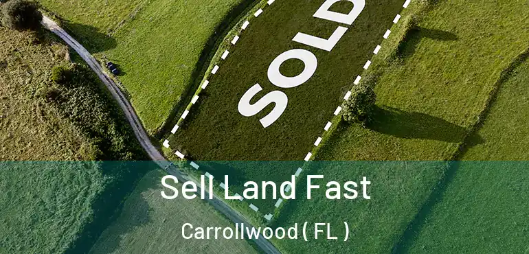  Sell Land Fast Carrollwood ( FL )