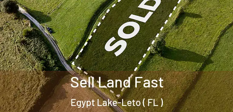  Sell Land Fast Egypt Lake-Leto ( FL )