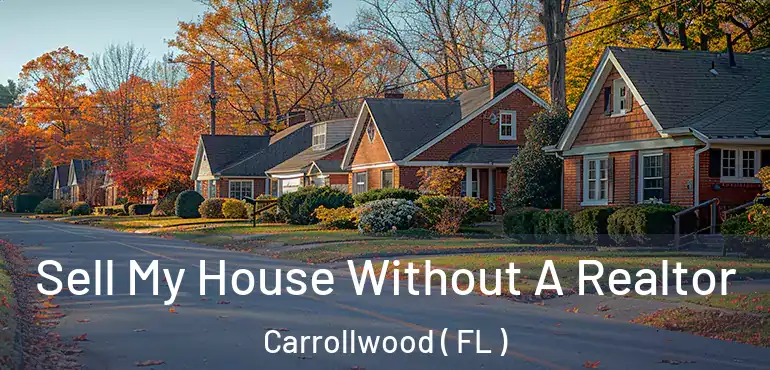  Sell My House Without A Realtor Carrollwood ( FL )