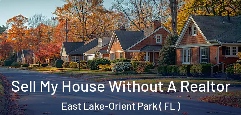  Sell My House Without A Realtor East Lake-Orient Park ( FL )
