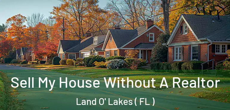  Sell My House Without A Realtor Land O' Lakes ( FL )