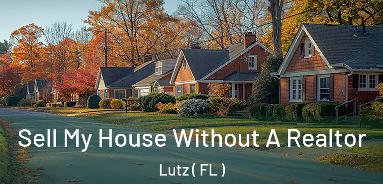  Sell My House Without A Realtor Lutz ( FL )