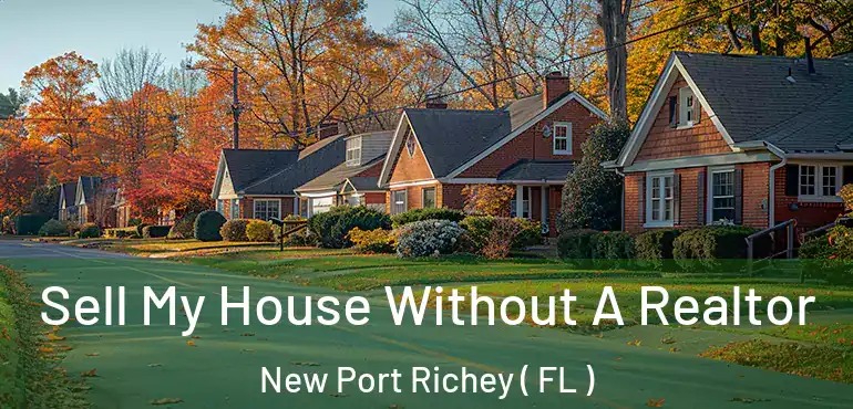  Sell My House Without A Realtor New Port Richey ( FL )