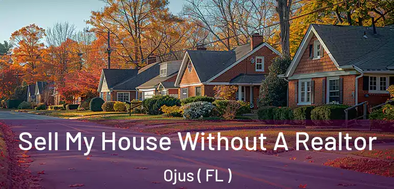  Sell My House Without A Realtor Ojus ( FL )