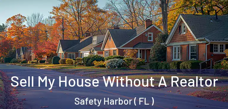  Sell My House Without A Realtor Safety Harbor ( FL )