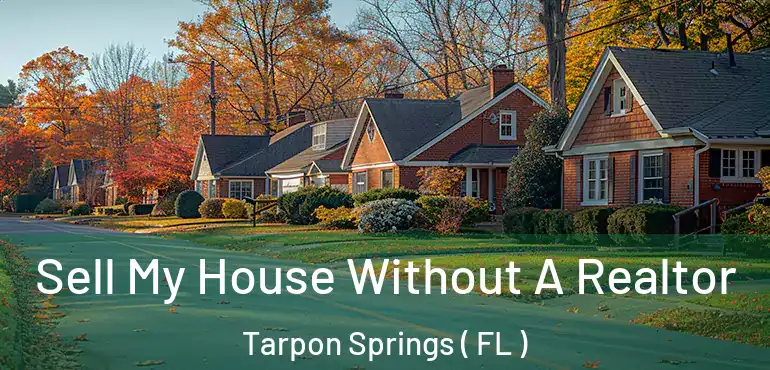  Sell My House Without A Realtor Tarpon Springs ( FL )