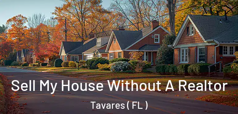  Sell My House Without A Realtor Tavares ( FL )