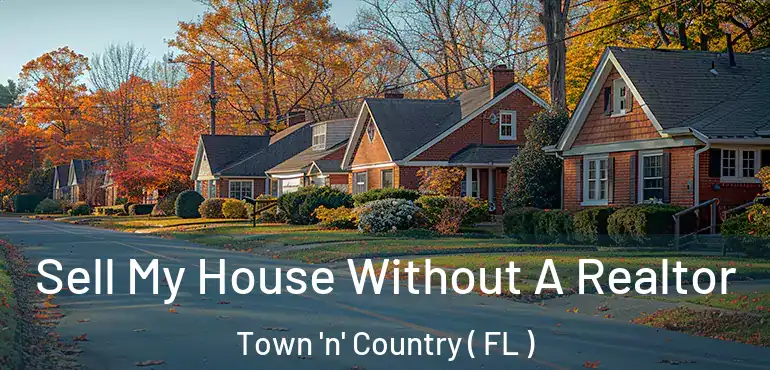  Sell My House Without A Realtor Town 'n' Country ( FL )