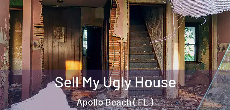 Sell My Ugly House Apollo Beach ( FL )