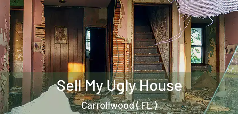  Sell My Ugly House Carrollwood ( FL )
