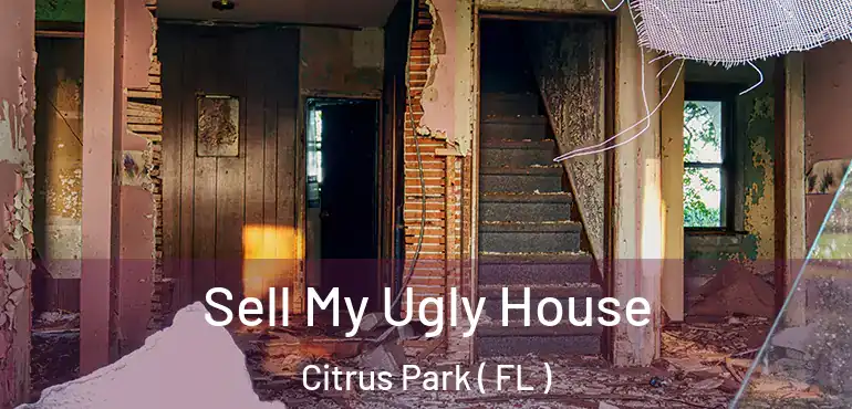  Sell My Ugly House Citrus Park ( FL )