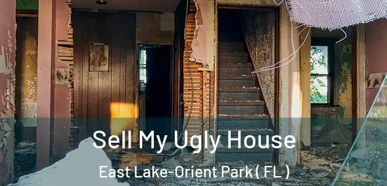  Sell My Ugly House East Lake-Orient Park ( FL )