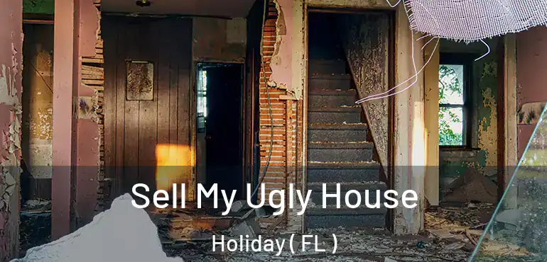  Sell My Ugly House Holiday ( FL )