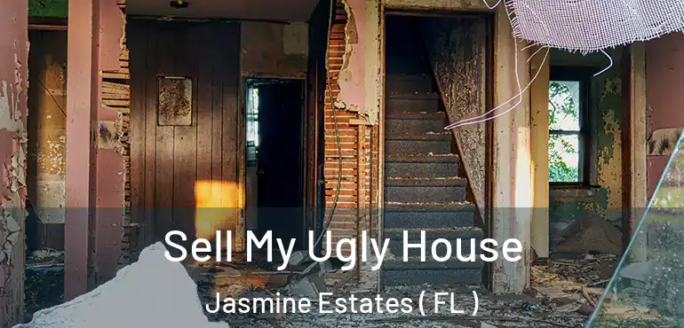  Sell My Ugly House Jasmine Estates ( FL )