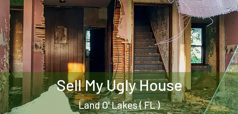  Sell My Ugly House Land O' Lakes ( FL )