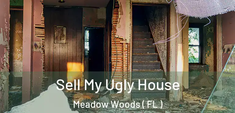  Sell My Ugly House Meadow Woods ( FL )