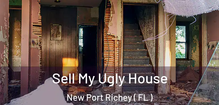  Sell My Ugly House New Port Richey ( FL )