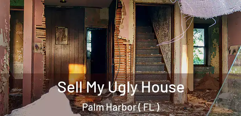  Sell My Ugly House Palm Harbor ( FL )