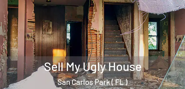  Sell My Ugly House San Carlos Park ( FL )