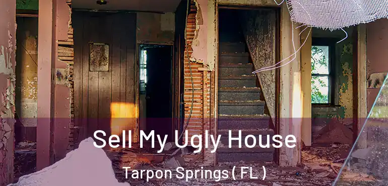  Sell My Ugly House Tarpon Springs ( FL )