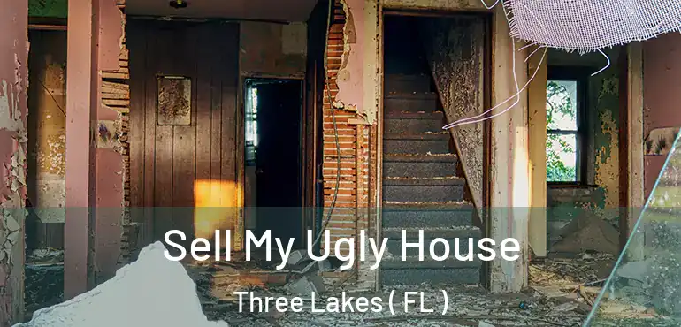  Sell My Ugly House Three Lakes ( FL )