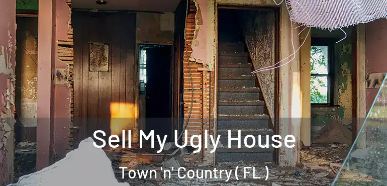  Sell My Ugly House Town 'n' Country ( FL )