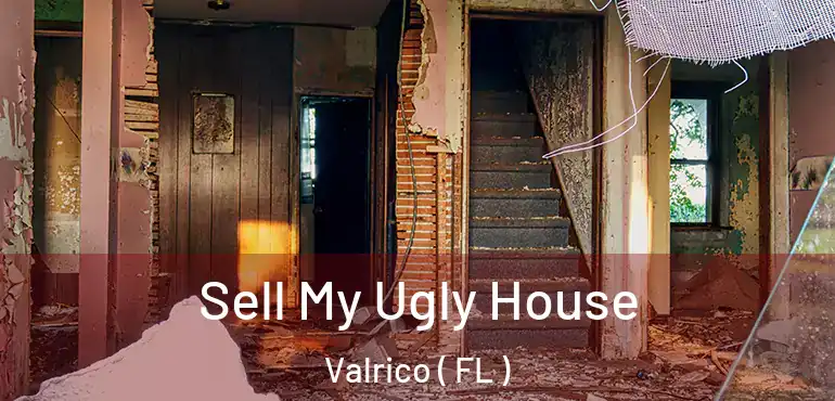  Sell My Ugly House Valrico ( FL )