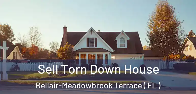  Sell Torn Down House Bellair-Meadowbrook Terrace ( FL )