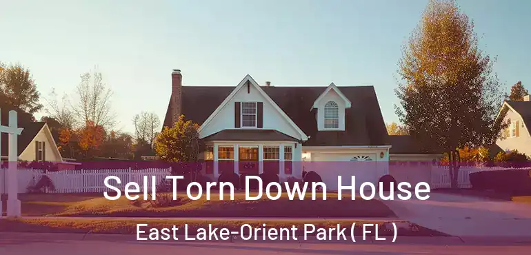 Sell Torn Down House East Lake-Orient Park ( FL )