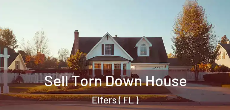  Sell Torn Down House Elfers ( FL )