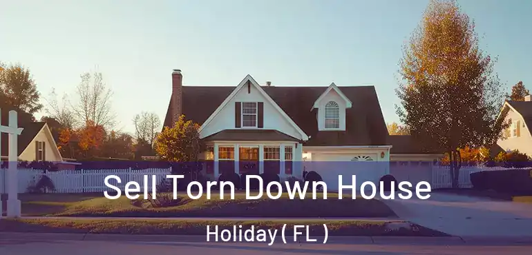  Sell Torn Down House Holiday ( FL )