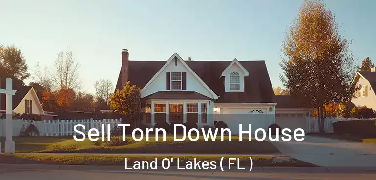  Sell Torn Down House Land O' Lakes ( FL )